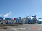 Arauco plant, Concepcion