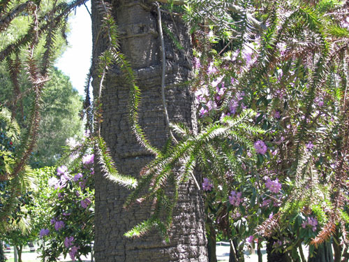 IMG_1866 copy
