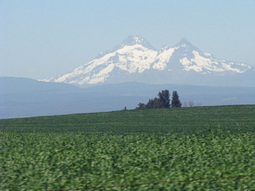 IMG_2068 copy
