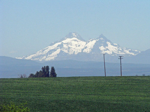 IMG_2069 copy