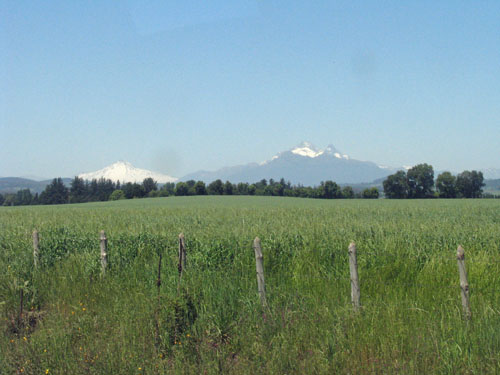 IMG_2076 copy