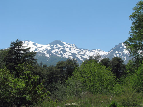 IMG_2182 copy