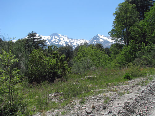 IMG_2184 copy
