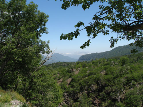 IMG_2210 copy