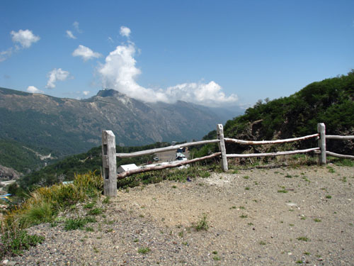 IMG_2259 copy