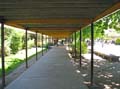 IMG_1854 copy