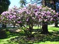 IMG_1864 copy