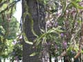 IMG_1866 copy