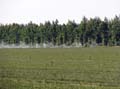IMG_2144 copy