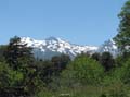 IMG_2182 copy