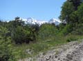 IMG_2184 copy