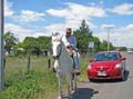 IMG_2264 copy