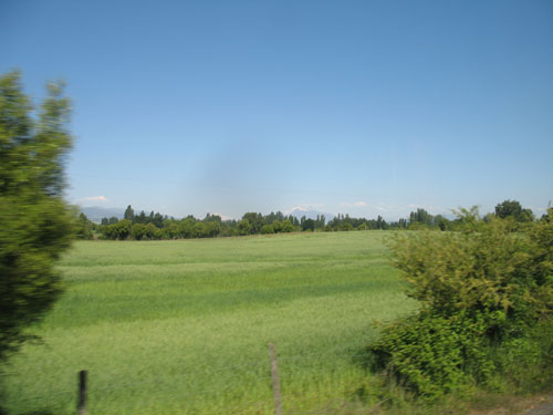 IMG_1186