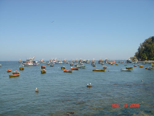 boats on water
