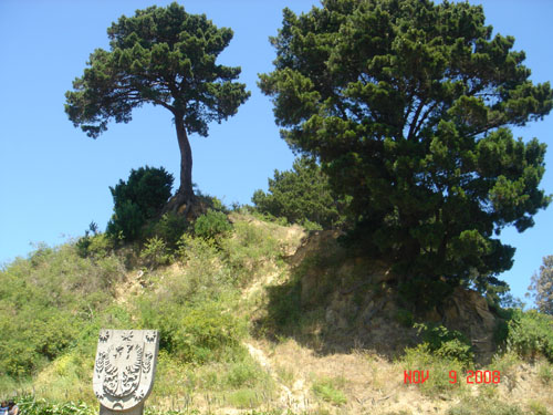 carracol hill