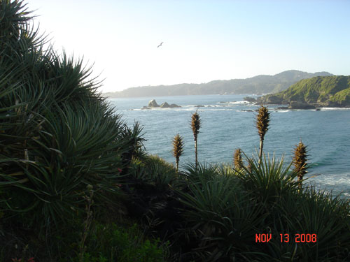 desembocadura13