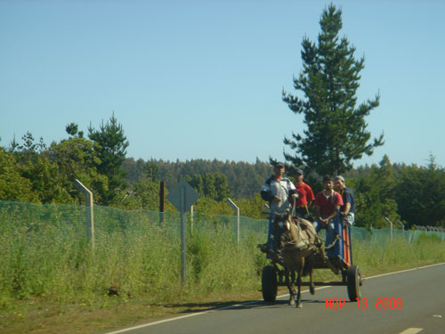 horse and cart