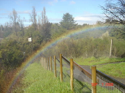 rainbow2