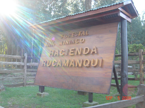 rucamanqui
