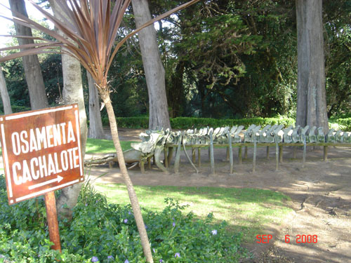 whale bones Parque Pedro del Rio Zadartu2