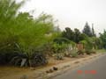 beverly hills 2 santiago