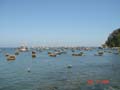 boats on water