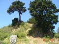 carracol hill