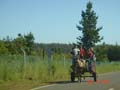horse and cart