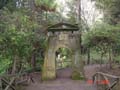 isabel couisno park-lota4