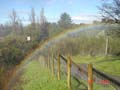 rainbow2