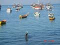 tumbes4