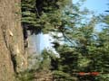 view from plantation