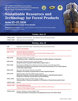 Program Flyer