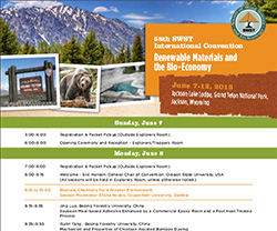 Program Flyer